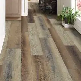 Hardwood | Gainesville CarpetsPlus COLORTILE