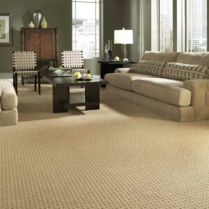 Living room Carpet | Gainesville CarpetsPlus COLORTILE