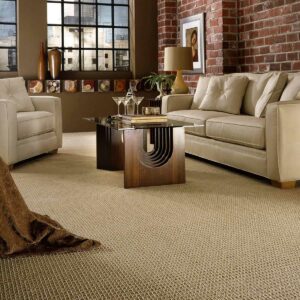 Living room Carpet flooring |  Gainesville CarpetsPlus COLORTILE