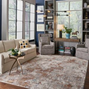 Living room Area rug |  Gainesville CarpetsPlus COLORTILE