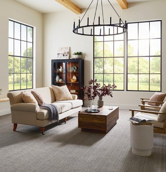 Living room Carpet |  Gainesville CarpetsPlus COLORTILE