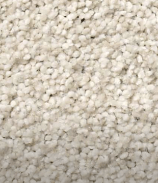 Carpet | Gainesville CarpetsPlus COLORTILE