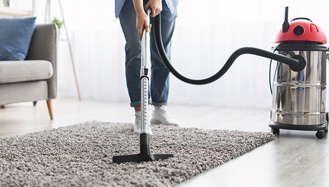 Area Rug cleaning |  Gainesville CarpetsPlus COLORTILE