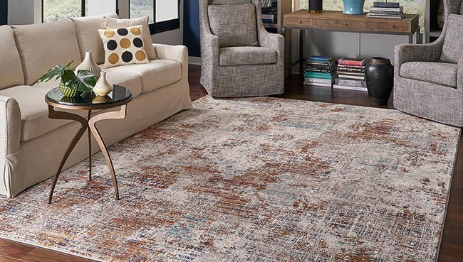 Area Rug for living room |  Gainesville CarpetsPlus COLORTILE