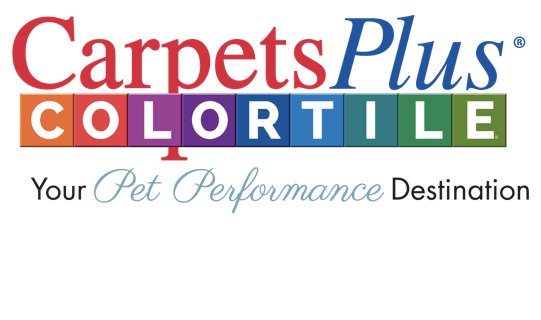 Carpetsplus colortile your pet performance destination | Gainesville CarpetsPlus COLORTILE