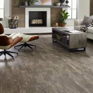 Vinyl flooring for living room |  Gainesville CarpetsPlus COLORTILE