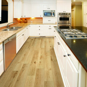 Vinyl flooring for kitchen | Gainesville CarpetsPlus COLORTILE