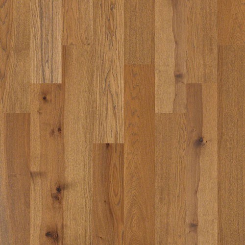 Hickory Flooring | Gainesville CarpetsPlus COLORTILE