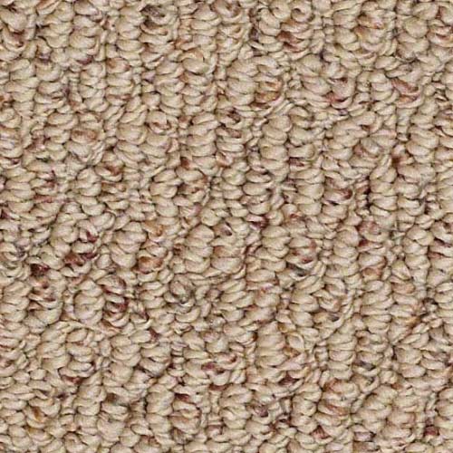 In-Stock-Berber | Gainesville Carpetsplus COLORTILE