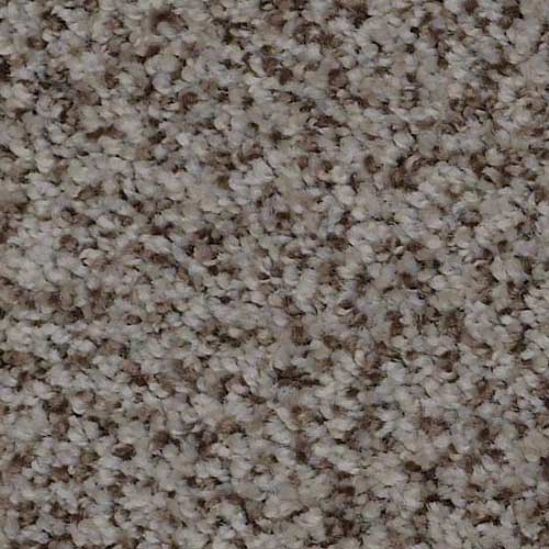 In-Stock-Polyester | Gainesville CarpetsPlus COLORTILE