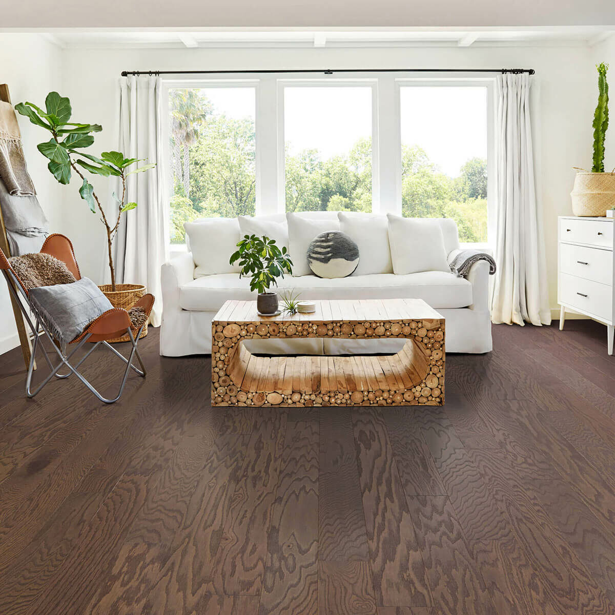 Hardwood flooring |  Gainesville CarpetsPlus COLORTILE